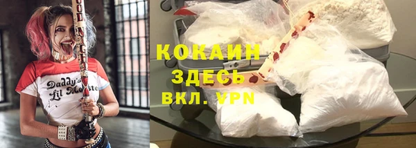 индика Алексеевка