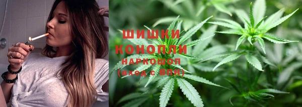 индика Алексеевка